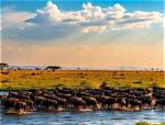 The Wealthy Landscape of Kenya: Unraveling the Richest Person in the Country