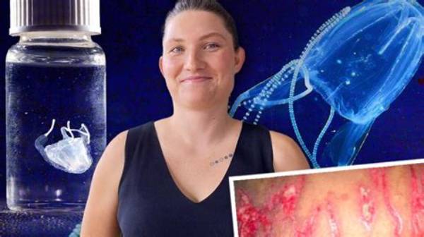 Thea Joyce Nesis and Her Jellyfish Discoveries