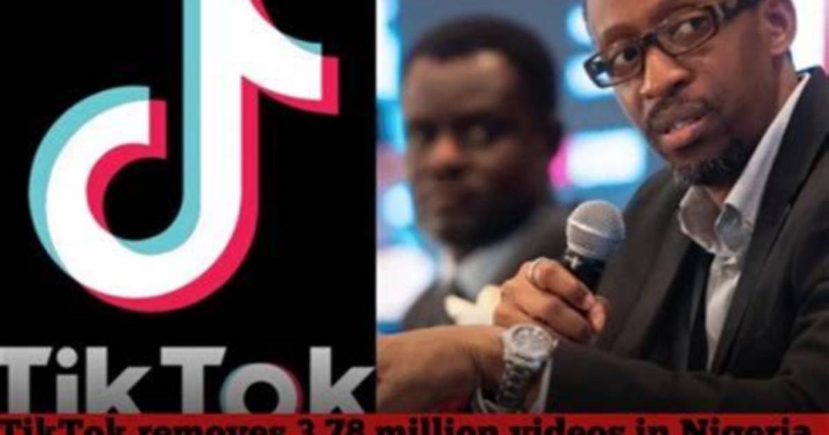 Tiktok Removes 113 Million Videos over Minor Safety, Illegal Activities