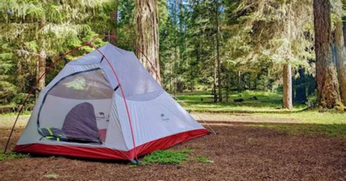 Tiller, Oregon: a Hidden Gem in the Heart of Nature