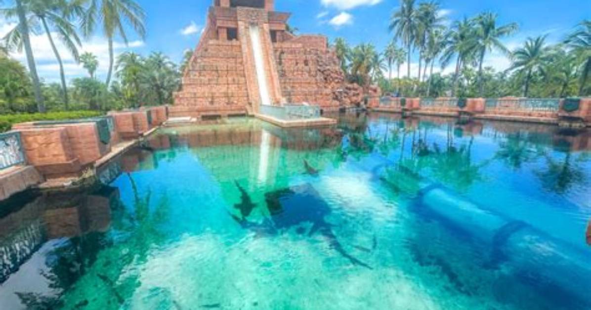 Tips and Tricks for a Memorable Paradise