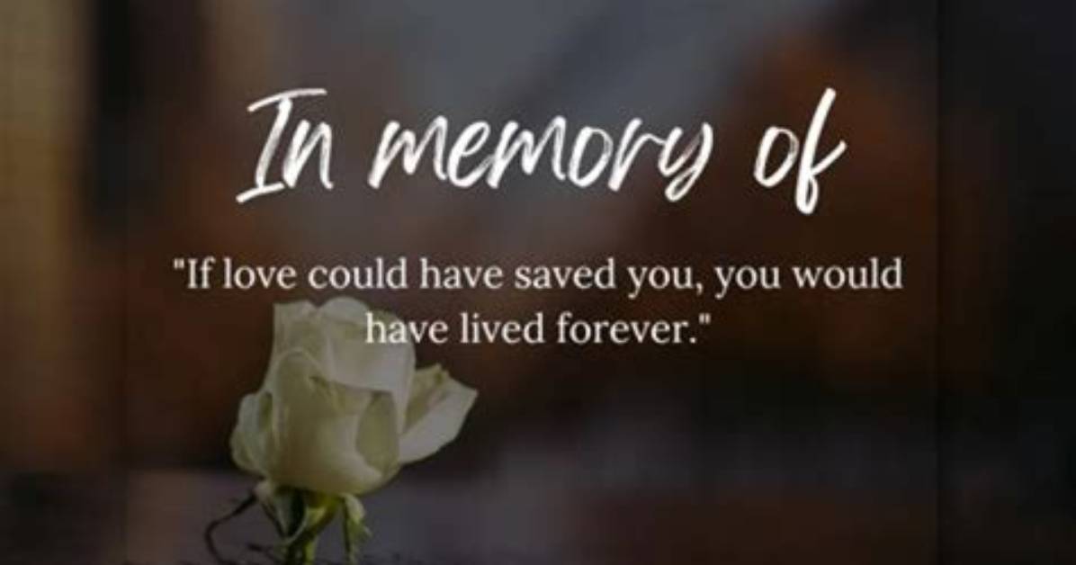 Tragic Loss: Remembering the Life and Legacy of Zach Bryan