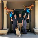 Trusted Vet Clinic in Palm Harbor Fl: Your Pet's Health Partner