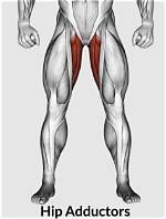 Ultimate Guide to Abductor and Adductor Exercises