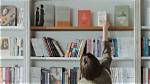 Uncover Hidden Gems and Literary Insights