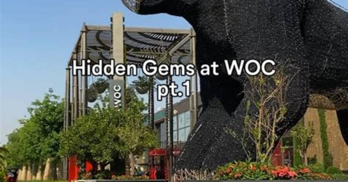 Uncover Hidden Gems on Instagram