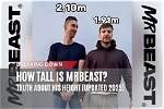 Uncover Jimmy "Mrbeast's" Towering Height: How Tall Is the Philanthropic Star?