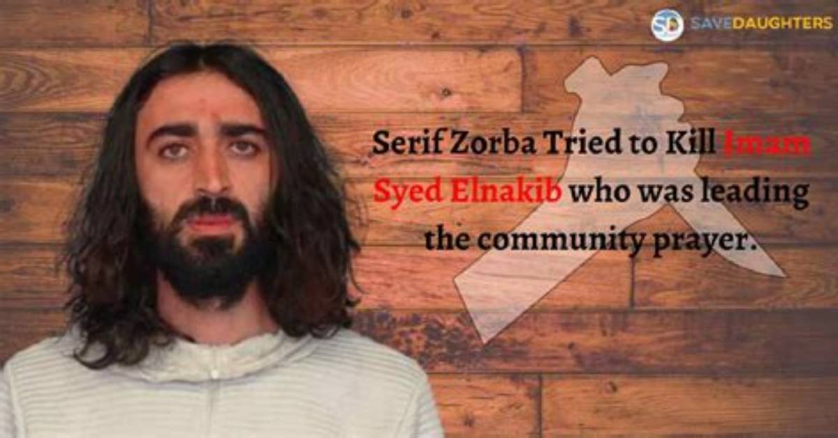 Uncover the Allure of Serif Zorba: Discoveries and Insights
