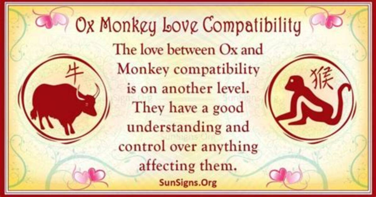 Uncover the Dynamics: Ox and Monkey Compatibility Guide