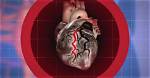 Uncover the Heart of Healthcare