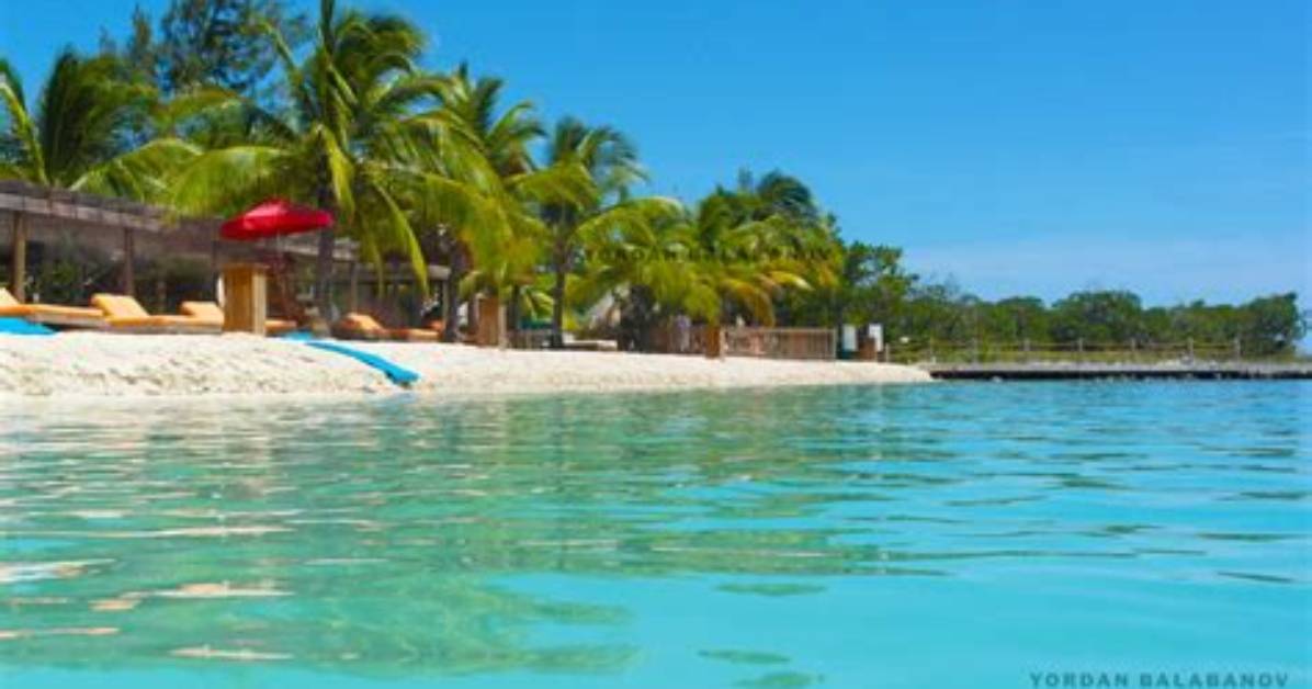 Uncover the Hidden Gems of Mahogany Beach, Jamaica