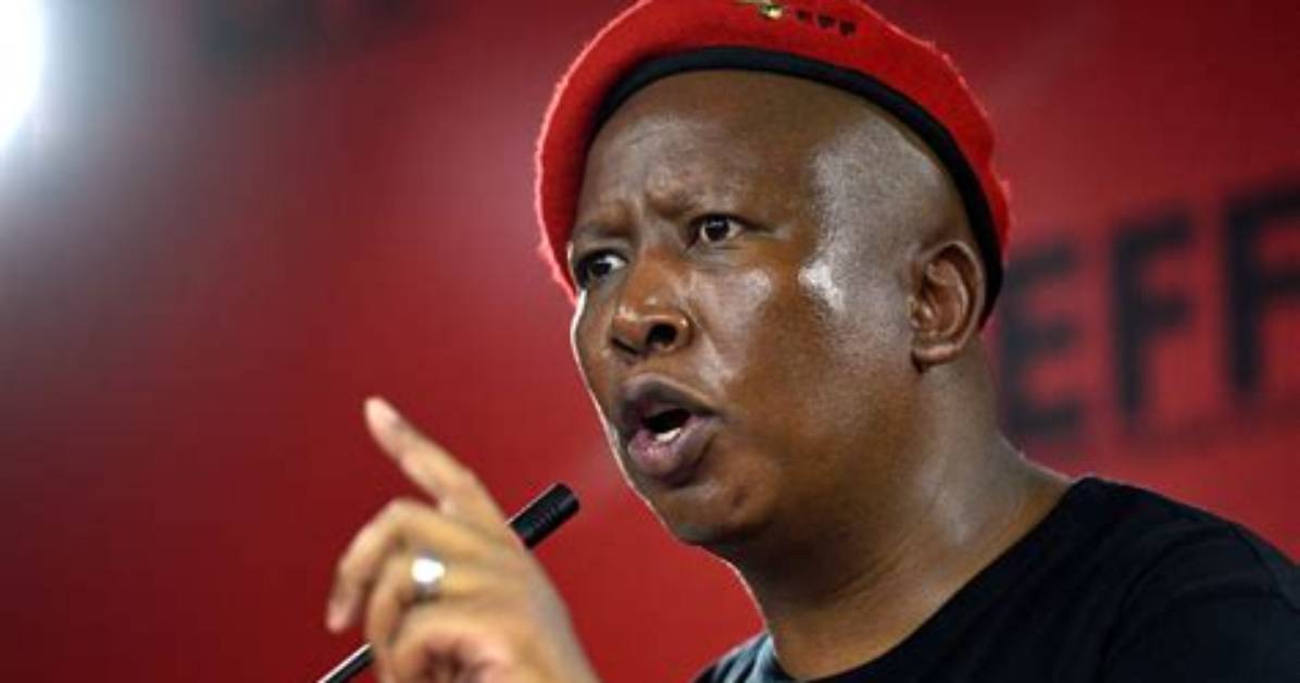 Uncover the Identity of Julius Malema's Wife