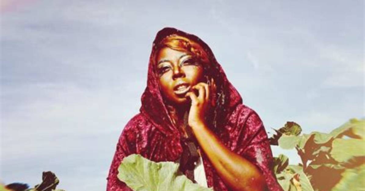 Uncover the Multifaceted Artistry of Shana Sessions Mayfield