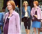 Uncover the Secrets Behind Cynthia Nixon's Stature!
