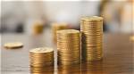 Uncovering Her Wealth and Impact