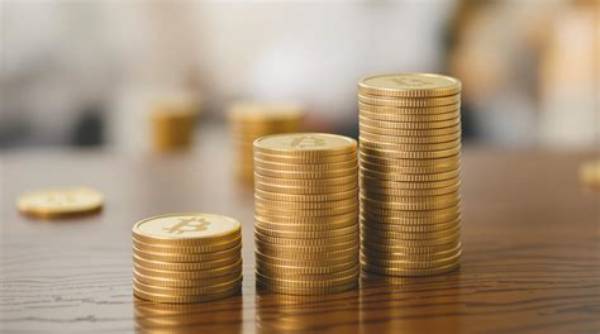 Uncovering Her Wealth and Impact
