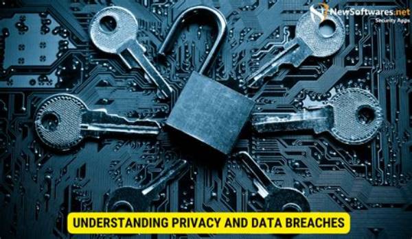 Uncovering Privacy Breaches and Online Security