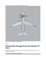Uncovering the Truth Behind the 737 Max Crashes