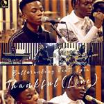 Understanding the Balloranking Age: a Look into the Life of an Emerging Star