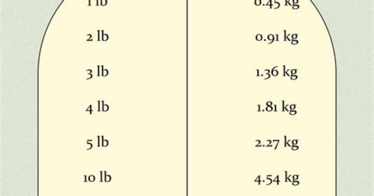 Understanding the Conversion: 18.6 Kilograms Convert to Pounds
