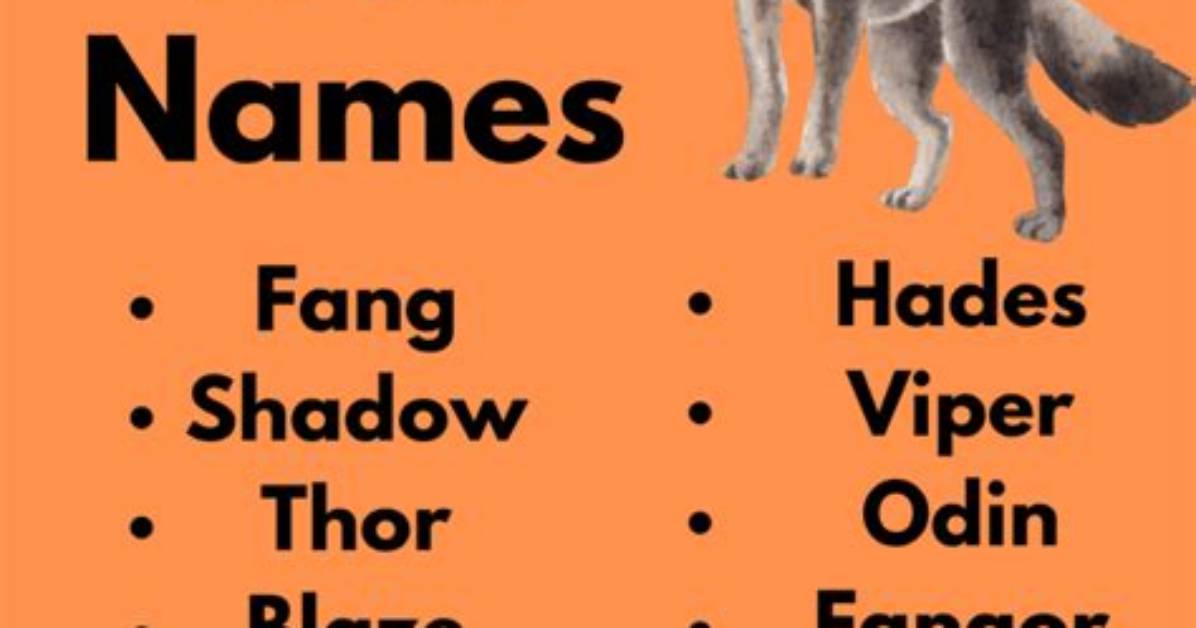 Unleashing the Spirit: Badass Wolf Names for the Fierce and Fearless