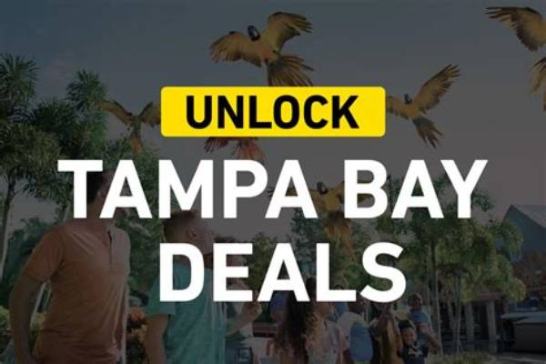 Unlock the Secrets of Tampa Bay Real Estate with Leonelis Blanco
