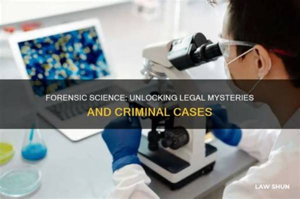 Unlocking the Mysteries of the Legal System