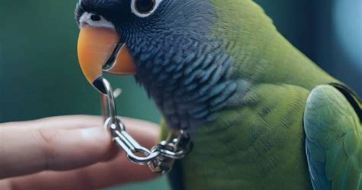Unlocking the Secrets to Happy Pet Peace of Mind