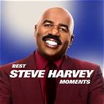 Unraveling the Charisma of Steve Harveh