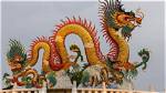 Unraveling the Mysteries of Dragon Compatibility