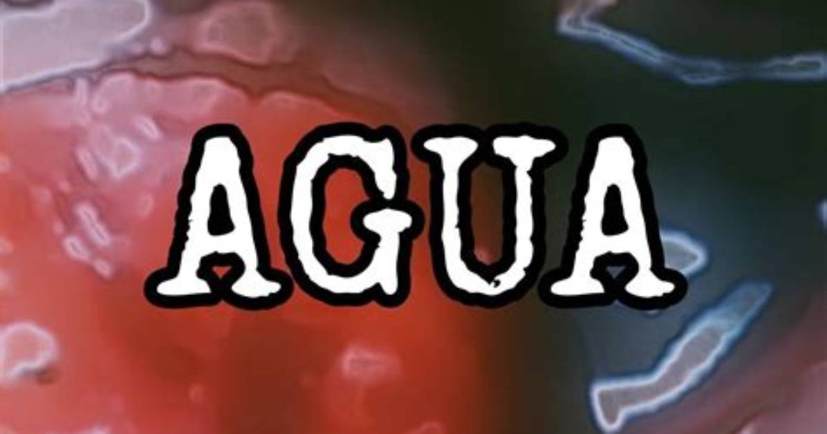 Unraveling the Mystery Behind the Quiero Agua Gore Video