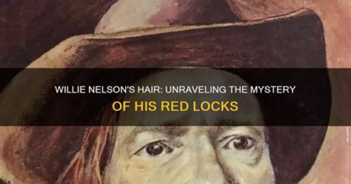 Unraveling the Mystery: How Old Is Willie Nelson's Wife?