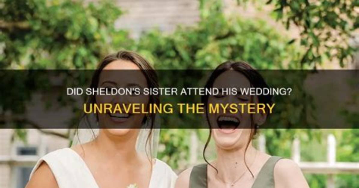 Unraveling the Mystery of Sheldon Cooper's Birth in Young Sheldon