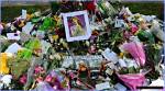 Unraveling the Mystery: the Untimely Death of Tang Mo Nida