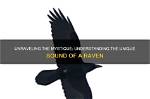 Unraveling the Mystique of the Hoodless Raven Team Leader