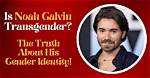 Unraveling the Truth: Is Noah Galvin Trans?