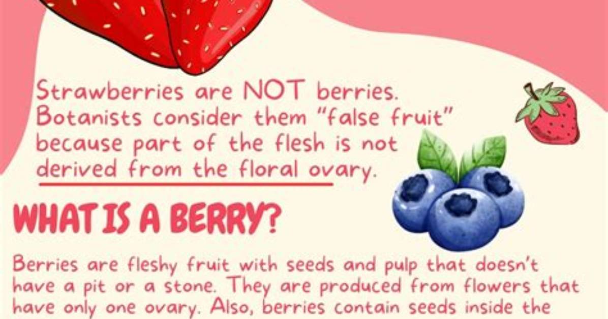 Unraveling Why a Strawberry Is Called a Strawberry