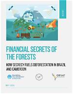 Unveil the Secrets of Brazil's Financial Powerhouse: Fbb