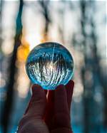 Unveil the Secrets of Innovation: Discoveries from Michelle Gard