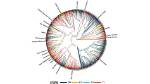 Unveiled Patterns and Surprising Insights