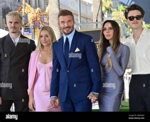 Unveiling Harper Beckham: Style, Substance, and Philanthropy