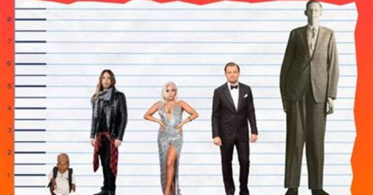 Unveiling Jared Leto's Height: Surprising Insights and Revelations