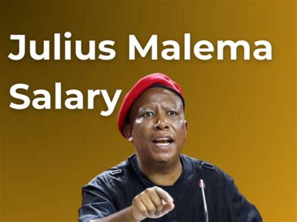 Unveiling Julius Malema's Net Worth: Surprising Truths Unearthed