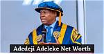 Unveiling La Fortune De Adedeji Adeleke 2023