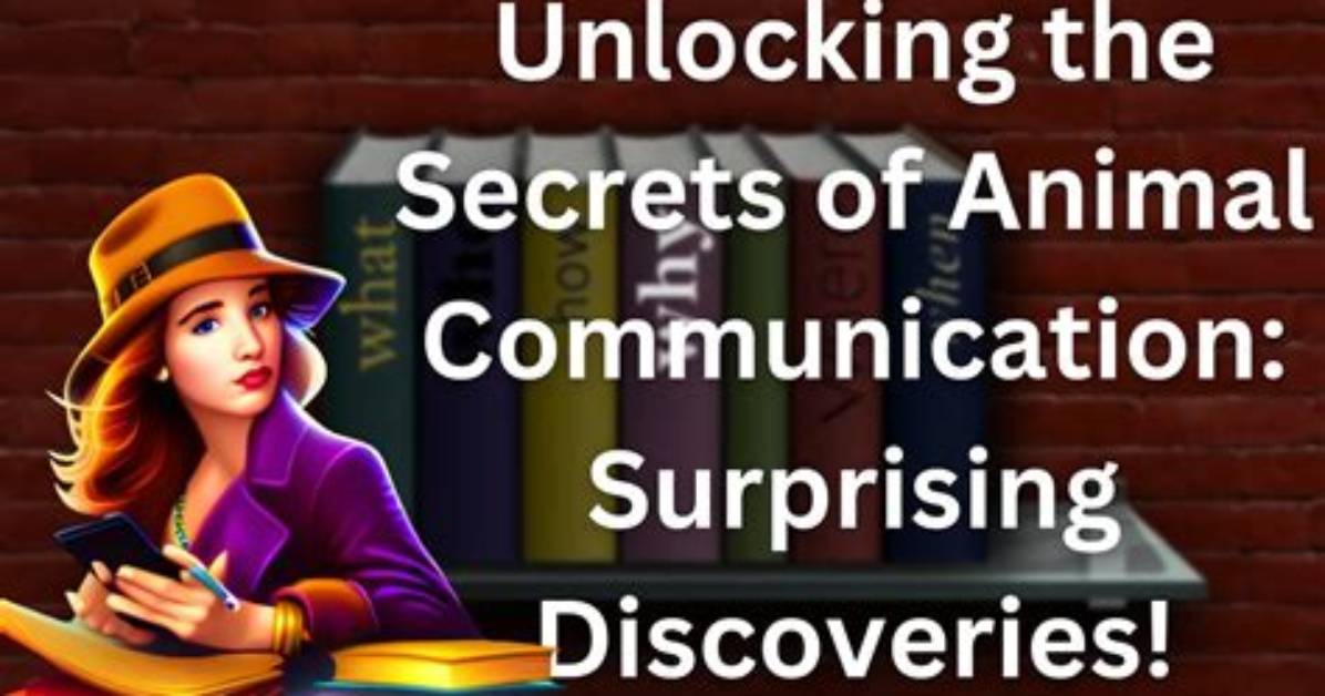 Unveiling Rachel Henry's Communication Secrets: Discoveries and Insights
