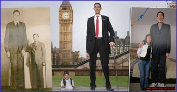 Unveiling Ryan Tang's Height: Discoveries and Insights