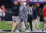 Unveiling the Ages of Kirk Herbstreit's Sons: a Comprehensive Guide