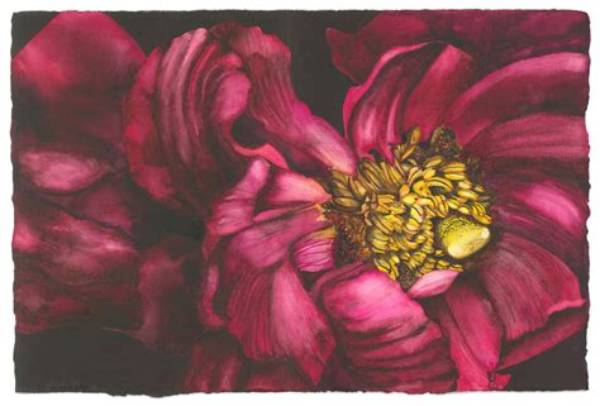 Unveiling the Artful Visions of Surata Zuri Mccants
