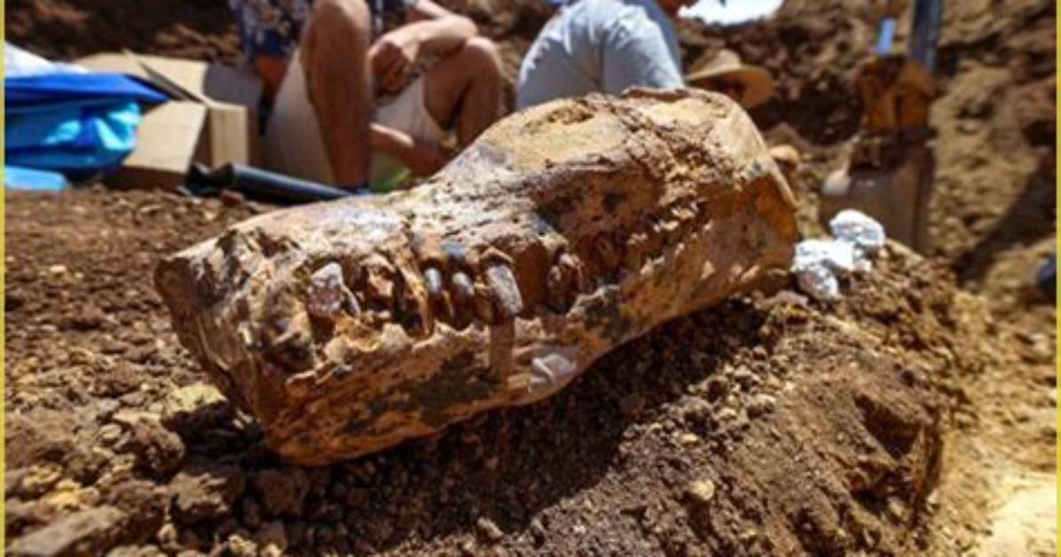 Unveiling the Enigma of "Big Jill": Discoveries and Insights