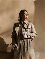 Unveiling the Enigmatic World of Catherine Bell: a Journey of Discovery